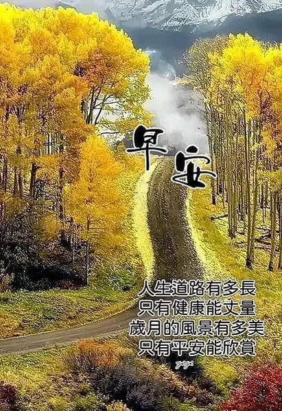 早上好呀，早安  天天...，早安  茶要泡...，早安  