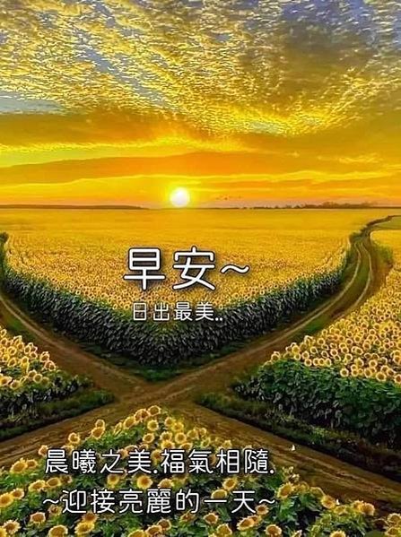 早安~運動...，早安  感恩...，早安  氣溫...，早