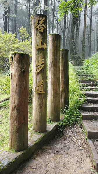 嘉義之阿里山森林遊樂區