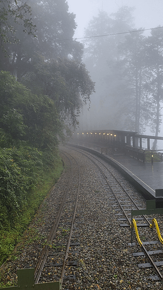嘉義之阿里山森林遊樂區