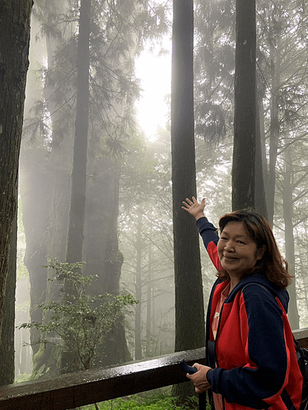 阿里山 2023年秋游...旅行還是需要一股衝動 (五) 原