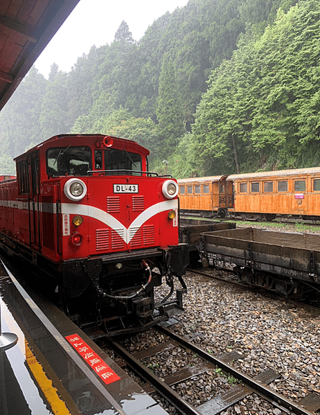 阿里山 2023年秋游...旅行還是需要一股衝動 (五) 原