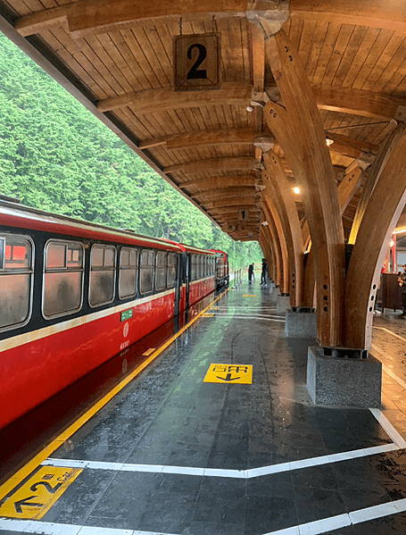 阿里山 2023年秋游...旅行還是需要一股衝動 (五) 原