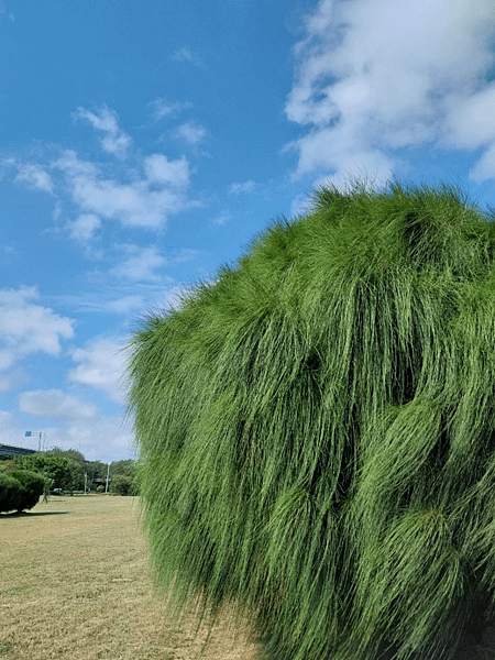 竹北頭前溪河濱公園~拍照練習