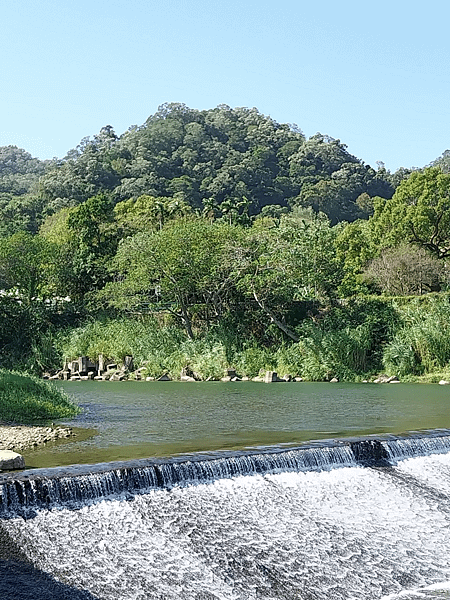 關西南山大橋仙草田_東安古橋_拍照練習