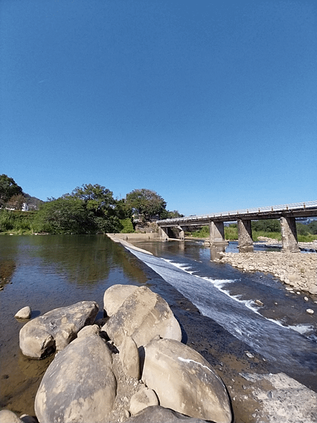 關西南山大橋仙草田_東安古橋_拍照練習