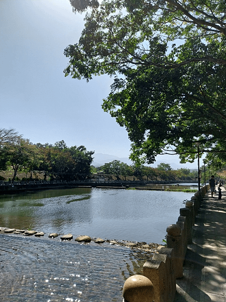 關西南山大橋仙草田_東安古橋_拍照練習