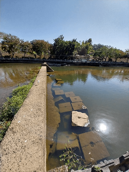 關西南山大橋仙草田_東安古橋_拍照練習