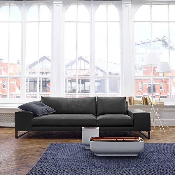 ligne roset Exclusif sofa_1