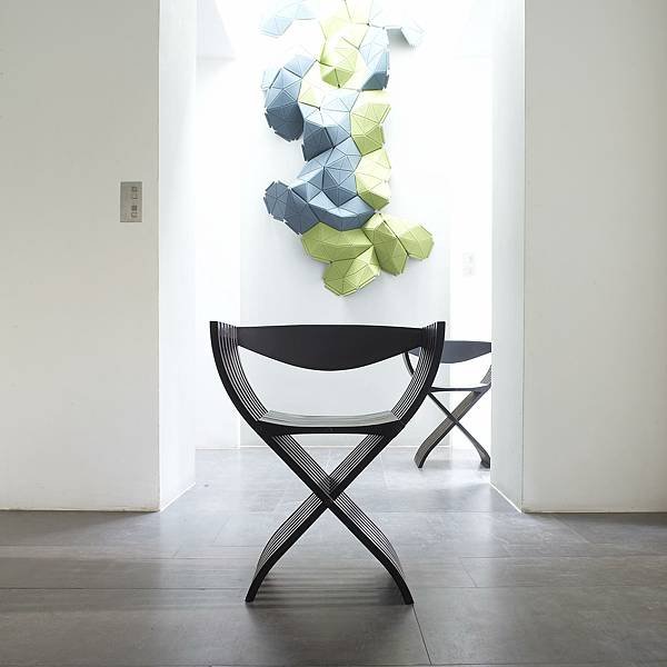 ligne roset Curule chair_1