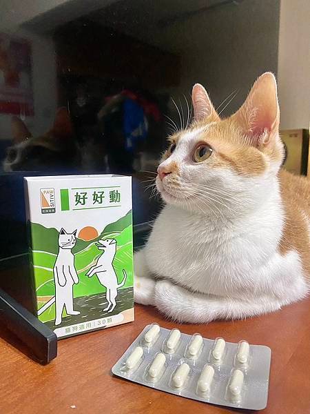 和樂茸茸Pawsitive 好好動-貓狗關節保健：讓毛孩輕鬆