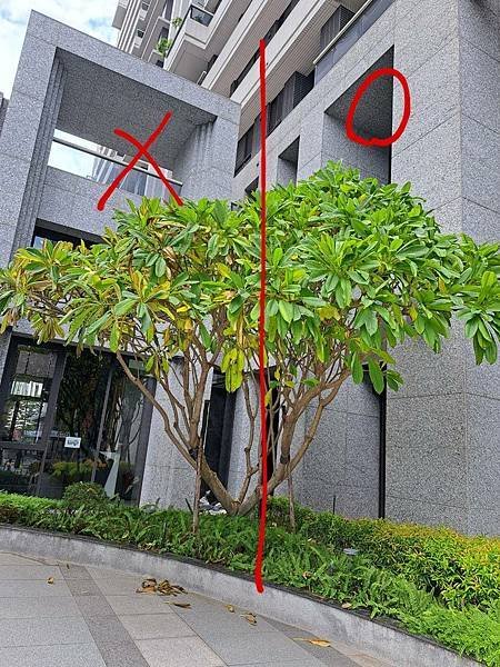 平行時空的轉移（六）合體