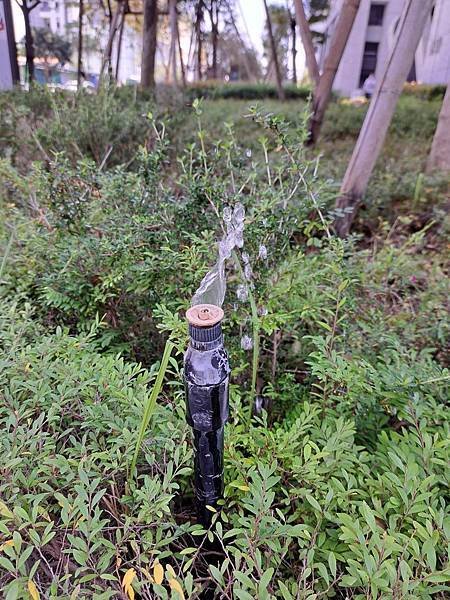 平行時空的轉移（六）合體