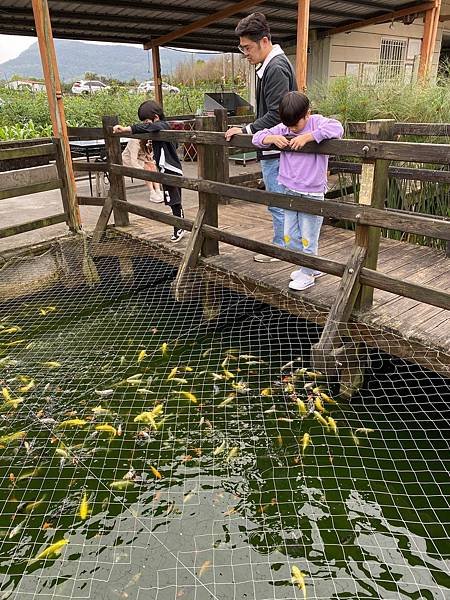 花蓮瑞穗溫泉推薦、推薦的瑞穗溫泉有哪些、花蓮二日遊 (202