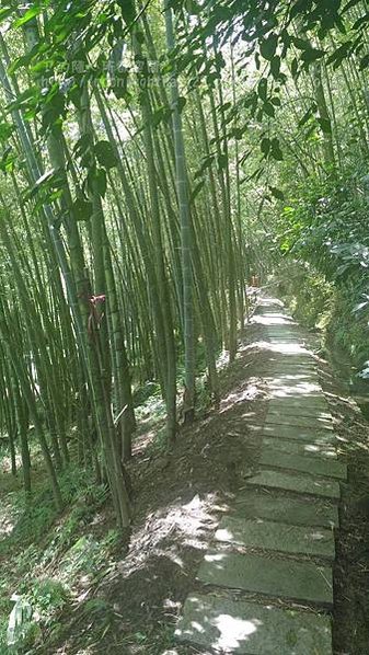 【旅遊|南投】南投三天兩夜之綠意盎然篇