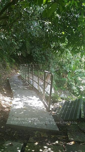 【旅遊|南投】南投三天兩夜之綠意盎然篇