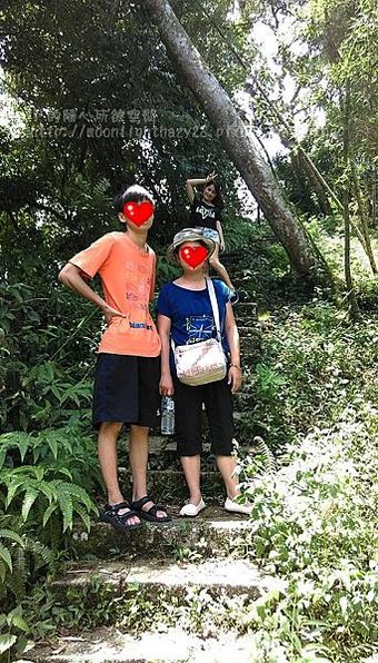 【旅遊|南投】南投三天兩夜之綠意盎然篇