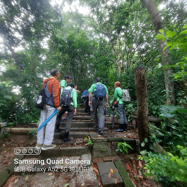 113/10/20 青龍嶺-大尖山路觀  紀錄：張秀容
