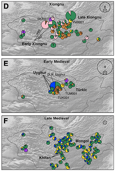 蒙古遺傳史(下)匈奴，突厥，回紇，契丹，到蒙古帝國