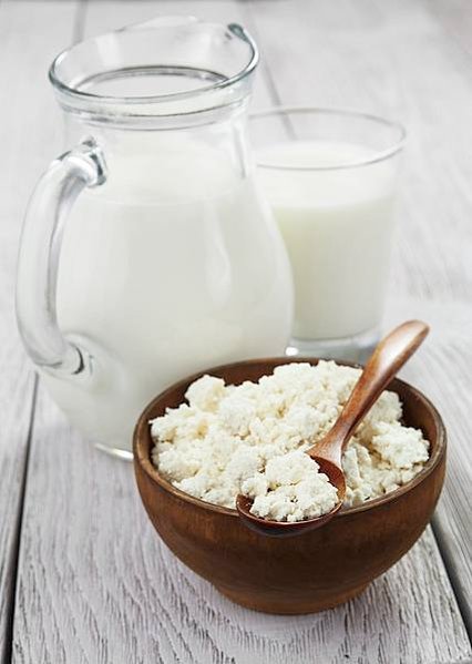 kefir_grains