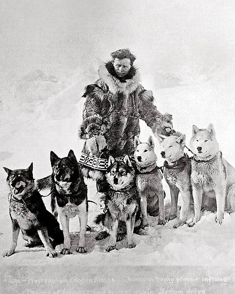 Leonhard_Seppala_with_dogs