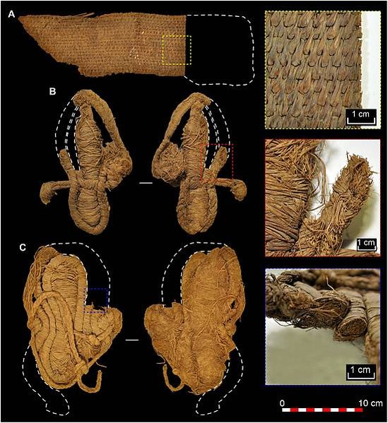 短篇 劉皇叔直呼內行，6600年前歐洲最早的草鞋