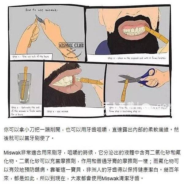 米斯瓦克（miswak）, 也被稱為「刷牙棍」或「樹枝牙刷」