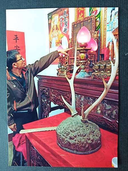 捕獵梅花鹿 出草使用「火焚法」/捕鹿是原住民的集體性的重大經