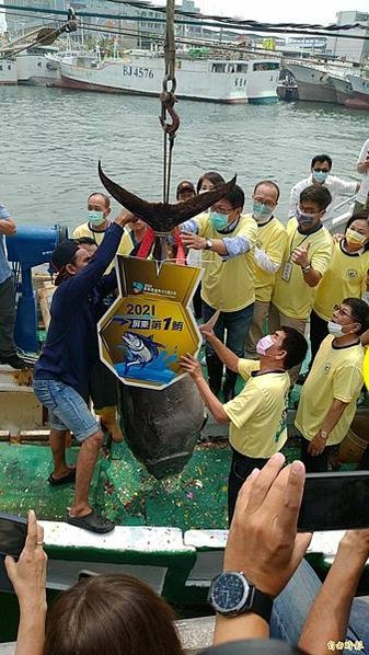 黑鮪魚季自民國九十一年舉辦第一鮪拍賣以來，至今十二年第一鮪皆