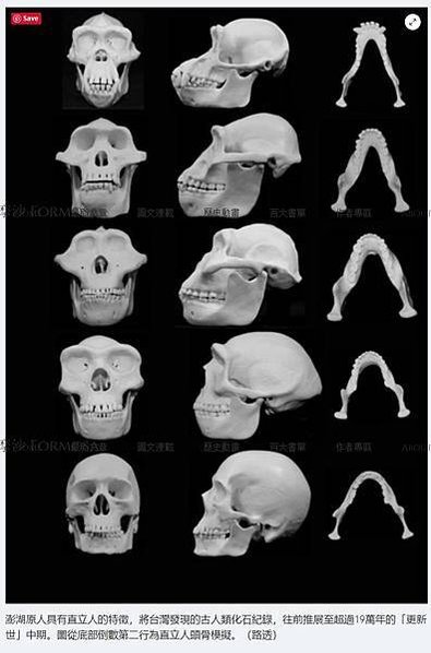 FireShot Capture 007 - 台灣考古重大發現！19萬年前人類化石「澎湖原人」為現代人類祖先 登上國際頂尖期刊《自然通訊雜誌（Nature Communications_ - siow3033.wixsite.com