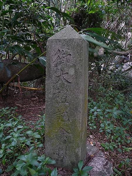 御大禮植樹記念碑之簡介- 所謂御大禮在日本人來說就是天皇的登