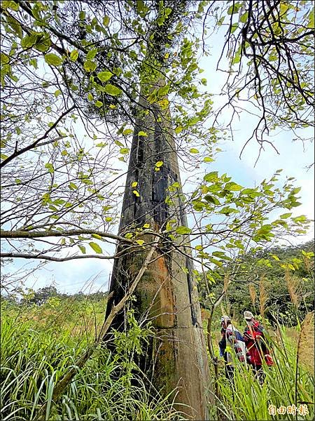 霍夫曼窯（八卦窯）臺灣珍貴古窯又現蹤--新竹湖口新發現「霍夫