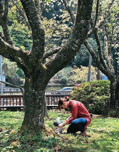 樹木醫生詹鳳春在中壢鄉村長大，卻是到日本留學-種樹、養樹、愛