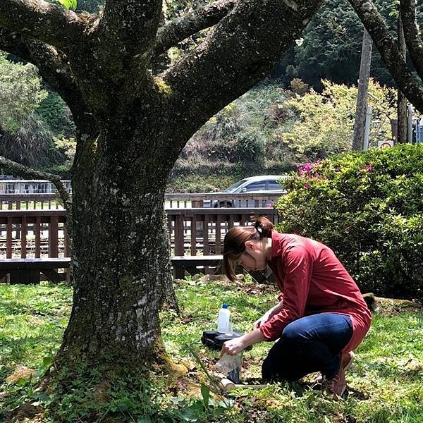 樹木醫生詹鳳春在中壢鄉村長大，卻是到日本留學-種樹、養樹、愛