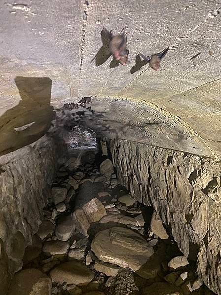 佳冬「碉堡王」、春日「戰鬥司令部」見證佳冬新埤等客庄二戰史/