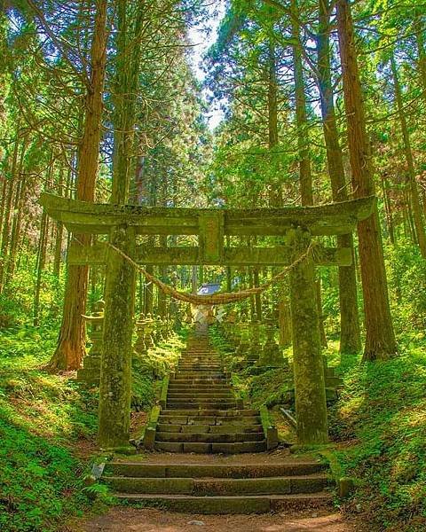 台灣日治時期神社的紋章/社徽