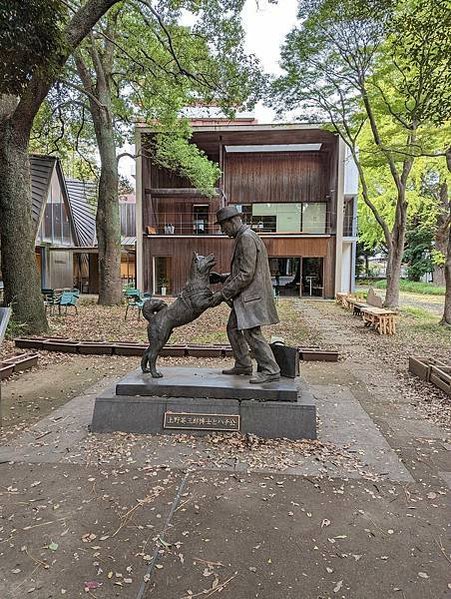 忠犬小八/秋田犬1934年忠犬八公/日本金氏世界紀錄旅遊景點