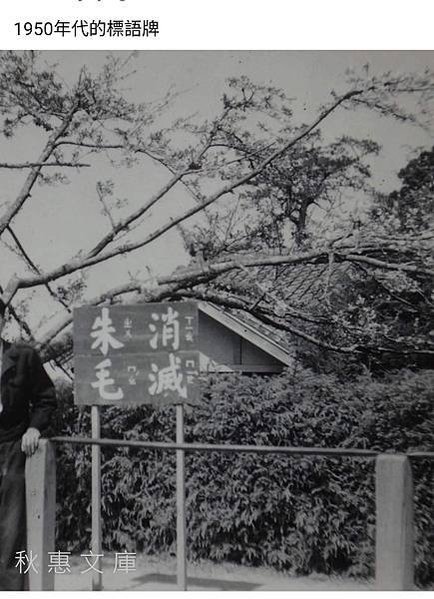老照片1012