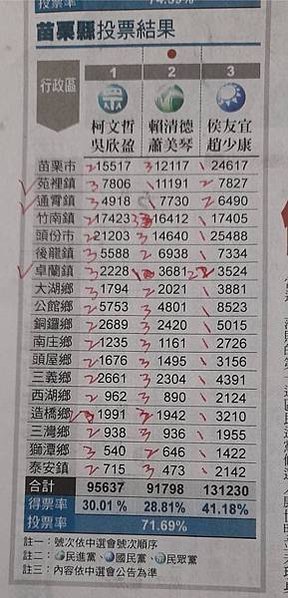 總統大選新竹開票 (3)