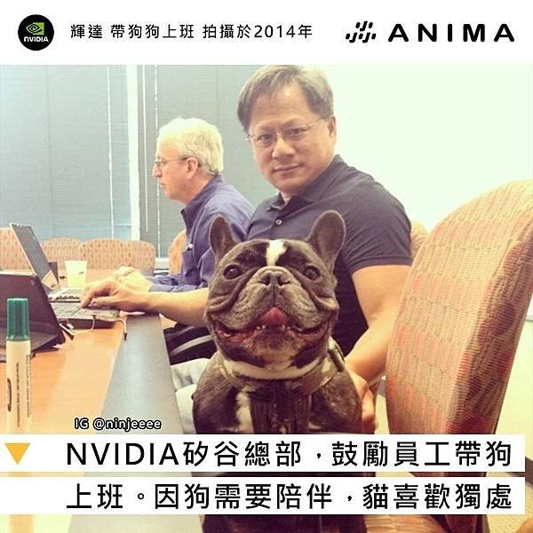 AI PC元年/輝達NVIDIA是做什麼的？靠顯卡怎麼成為世