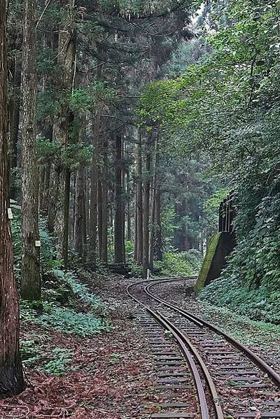 多林車站-全台最小車站/嘉義縣阿里山鄉，為林務局阿里山林業鐵