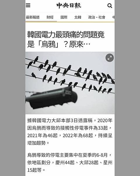 停電原因，動物侵擾/全國超過43萬公里的電力線路、300多萬