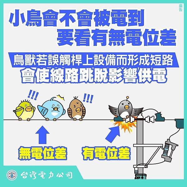 停電原因，動物侵擾/全國超過43萬公里的電力線路、300多萬