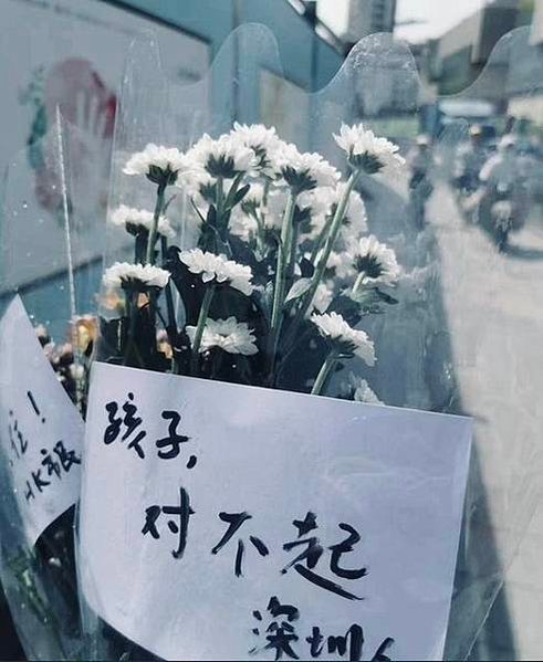 蘇州巿民胡友平為阻止凶徒殘殺日本小學生而喪生，日本大使館為她