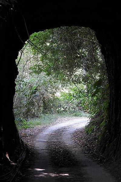 嘉義中埔百年古隧道/雙龍隧道&amp;長青隧道/南庄鄉南富村四灣山區