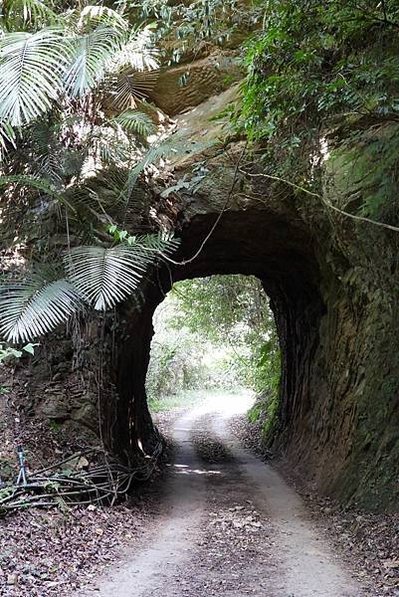 嘉義中埔百年古隧道/雙龍隧道&amp;長青隧道/南庄鄉南富村四灣山區