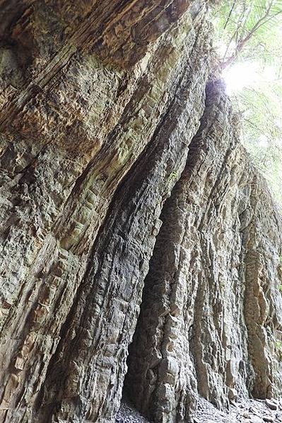 嘉義中埔百年古隧道/雙龍隧道&amp;長青隧道/南庄鄉南富村四灣山區