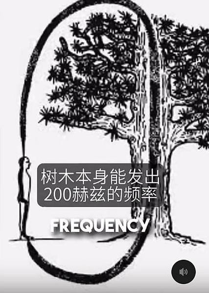 十八尖山石觀音「西國三十三觀音」「新竹西國三十三所靈場」:石