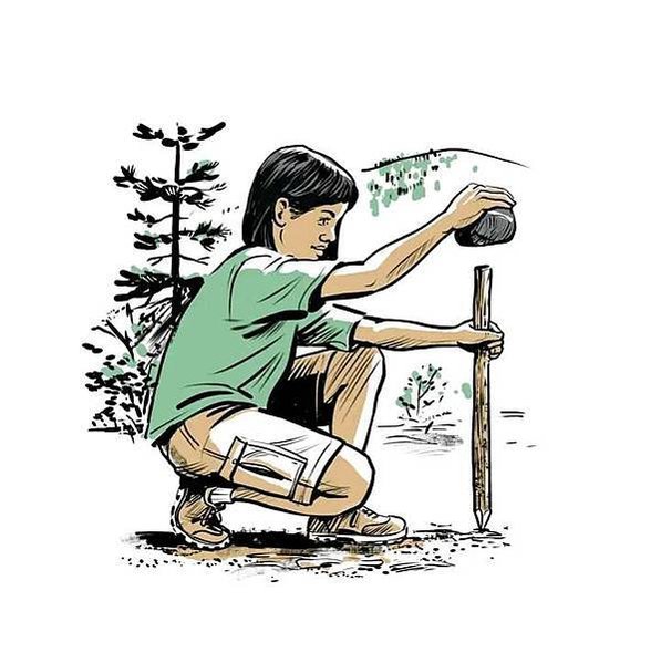 太陽羅盤/指北針、指南針/如何將手錶用作指南針（以北半球為例