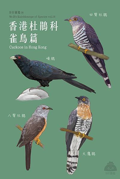 杜鵑鳥，俗稱布穀鳥分布於歐、亞、非洲的杜鵑科鳥類屬於孵卵寄生